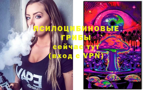 mix Надым