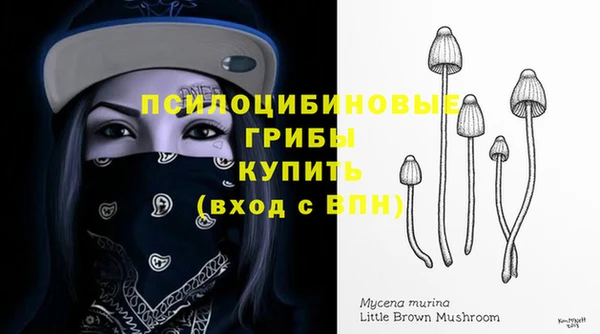 тгк Нефтекумск
