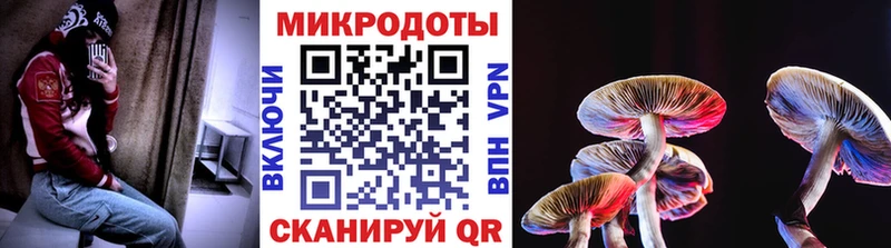 Галлюциногенные грибы мухоморы  Игарка 